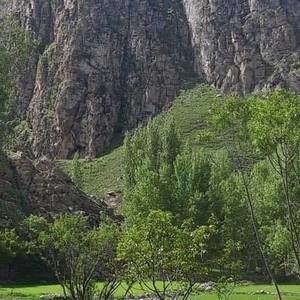 Meet your Posher, Ustad